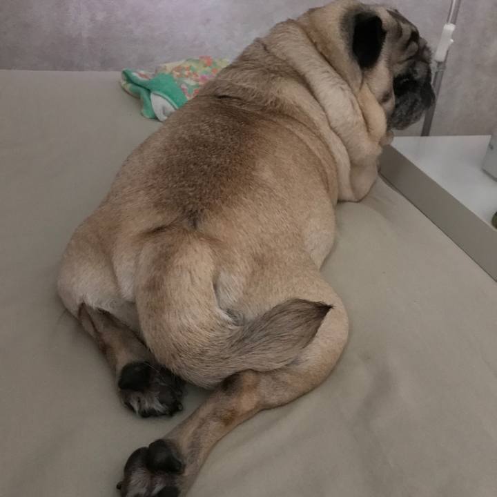 Ef8bbc40 6b4f 4b0d 8828 14b0cab9130e