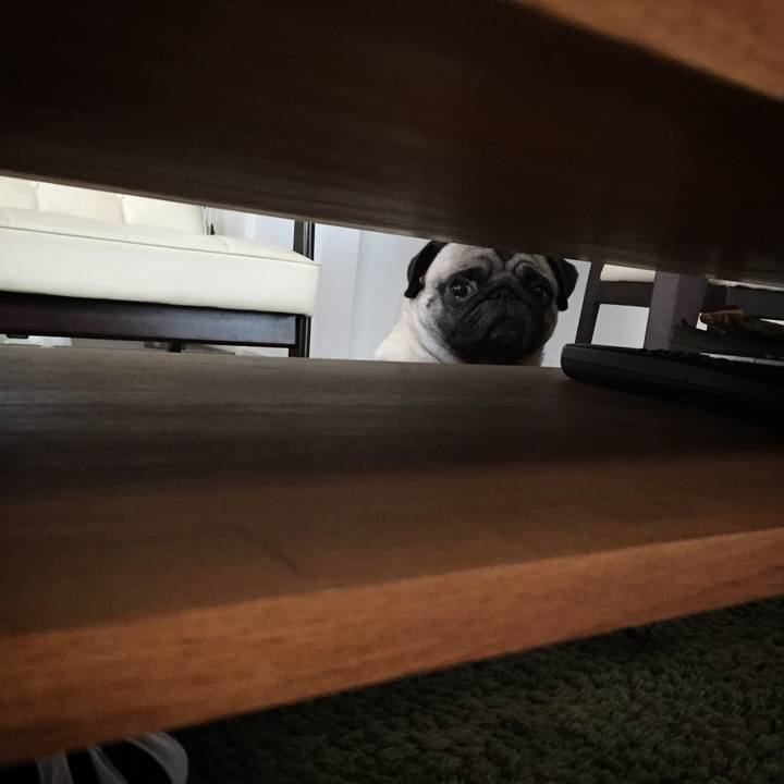 Ef8bcede 7da0 417b 8ff3 28ff51bbbc6b