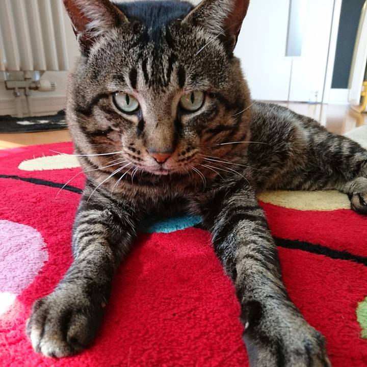 Ef8bcfb8 563a 4b4b 86c4 3176018f7146