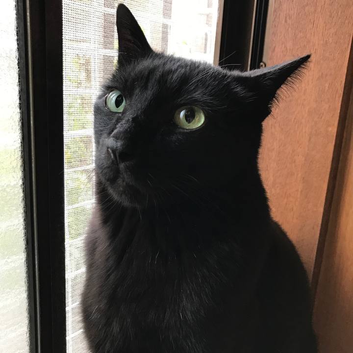 Ef8c66ac 995a 4f18 9b6a e86d8ca53528