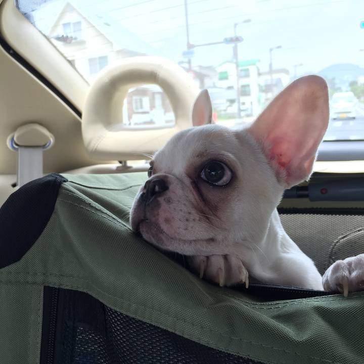 Ef8c6c42 5c7b 4221 87d4 b06785df7bfd