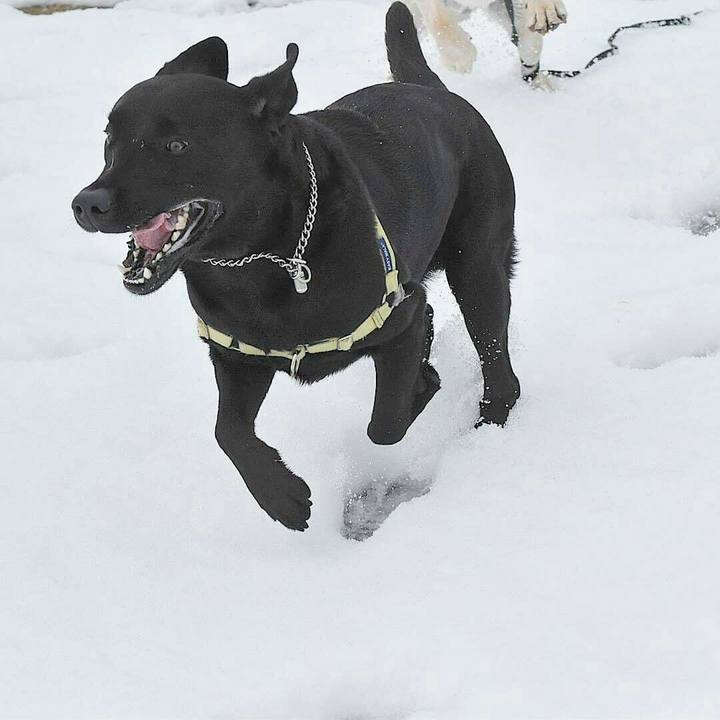 Ef8c7c3a cf92 46bc a537 a2670bbac1f3