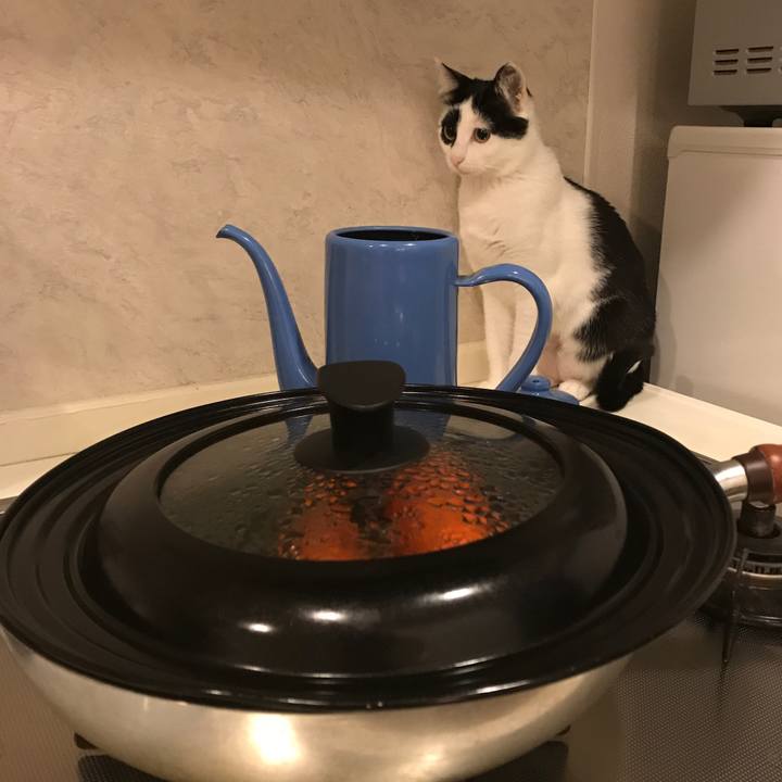 Ef8d121f b759 413c b438 0fdae59156af