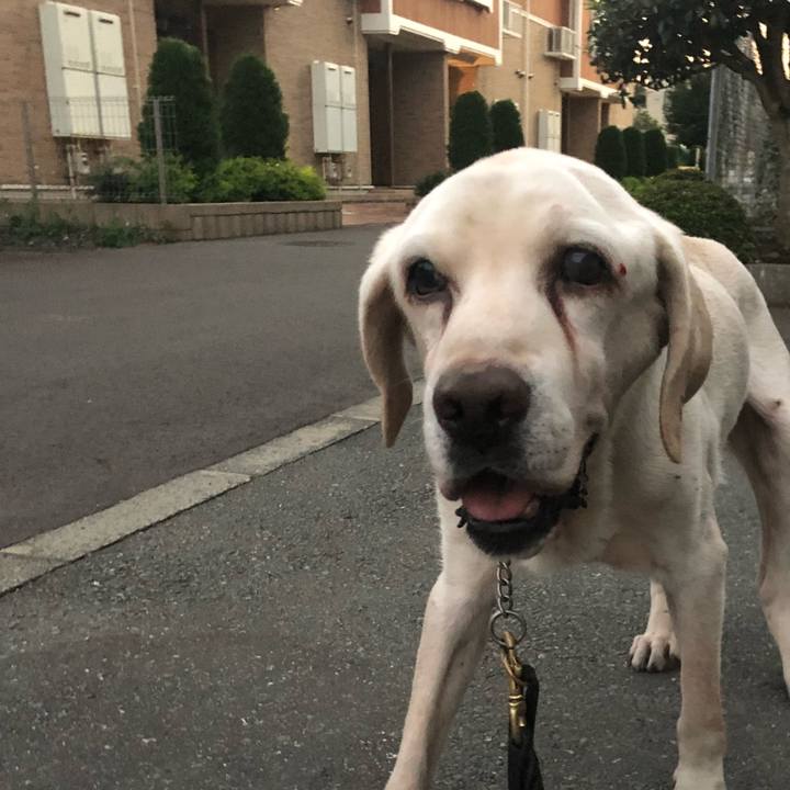 Ef8e5872 0ad3 4540 99f4 ca21f1257b19