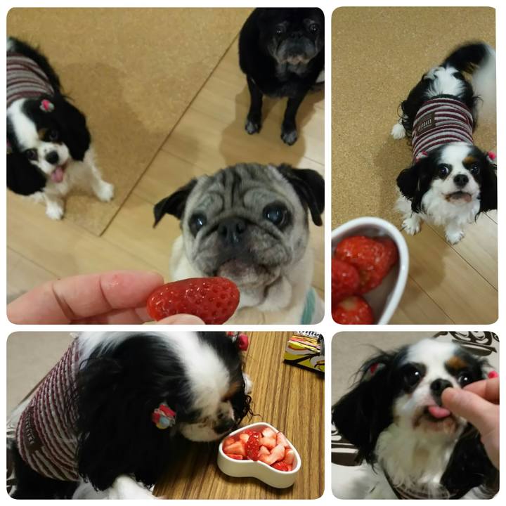 Ef8e5992 a166 4b7b 98c0 1f9c6af299c8