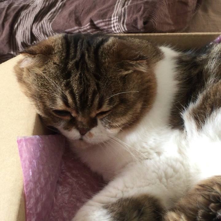 Ef8e8278 b2bb 4f66 bc48 24f9daa5fd22