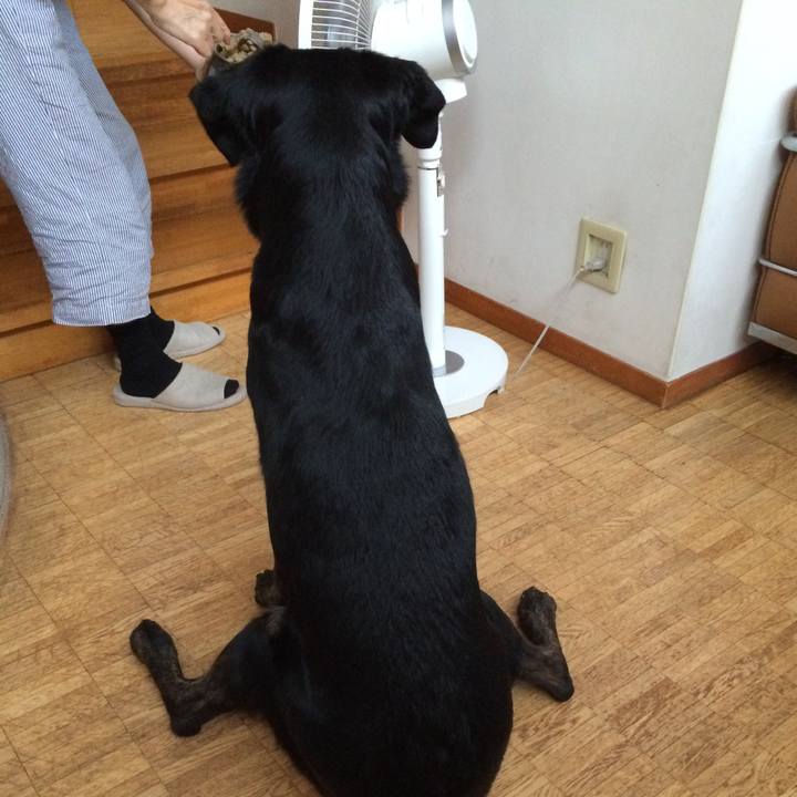 Ef8ef1f2 5f18 4ce7 8d99 24fa2b499cfb