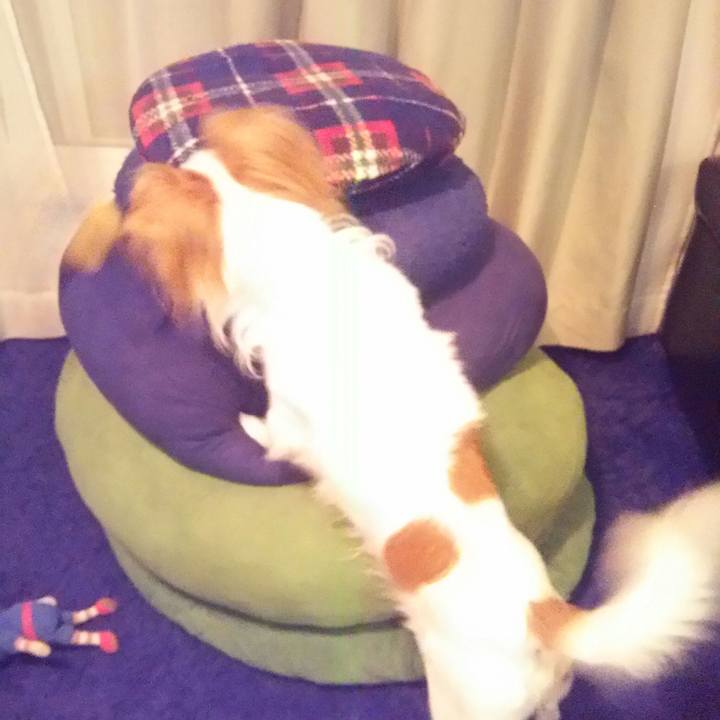 Ef8f0f32 b146 404f 8299 c17c87a65f17