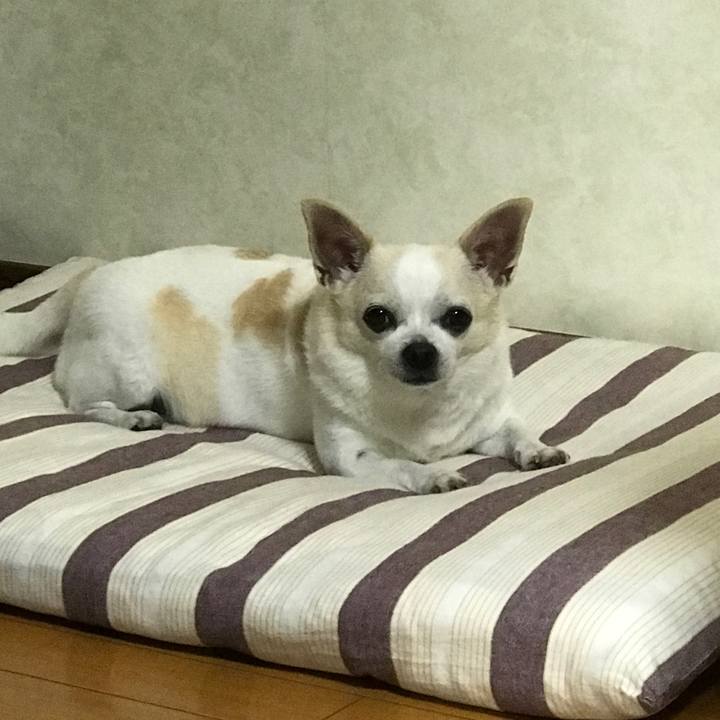 Ef90579a 245b 4e39 bd3e 42546542416e