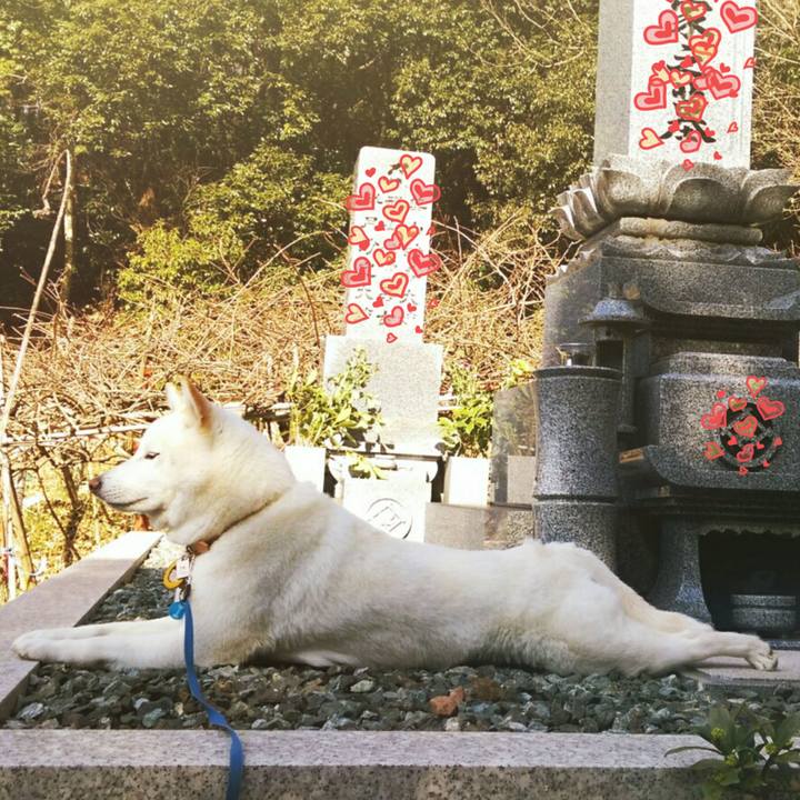 Ef90980c 3284 4c89 b922 f75650307317