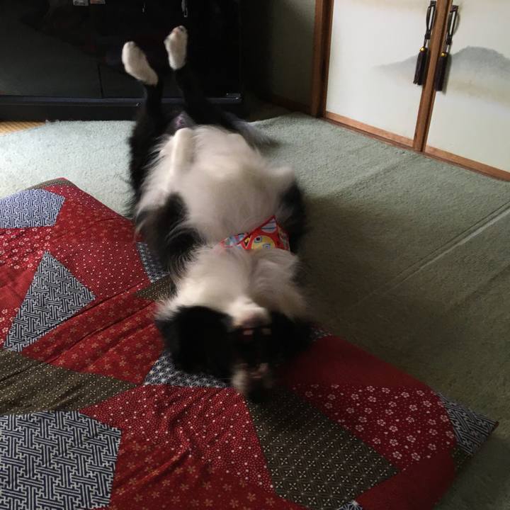 Ef9286ff 0d1b 4af2 93f9 a089608f7bcc