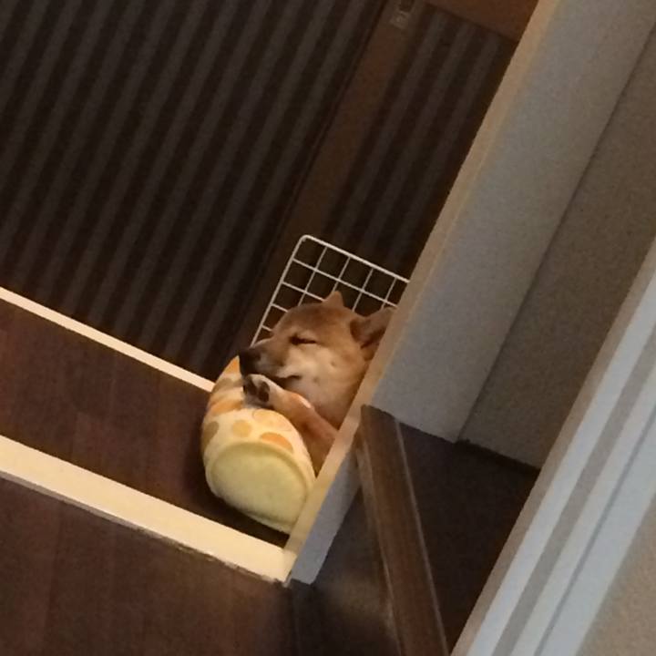 Ef92d228 6ecb 493b 9a2d 29276505b428