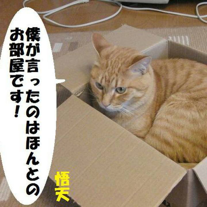 Ef92d28a bf30 4aab 8265 e9d31b37b933