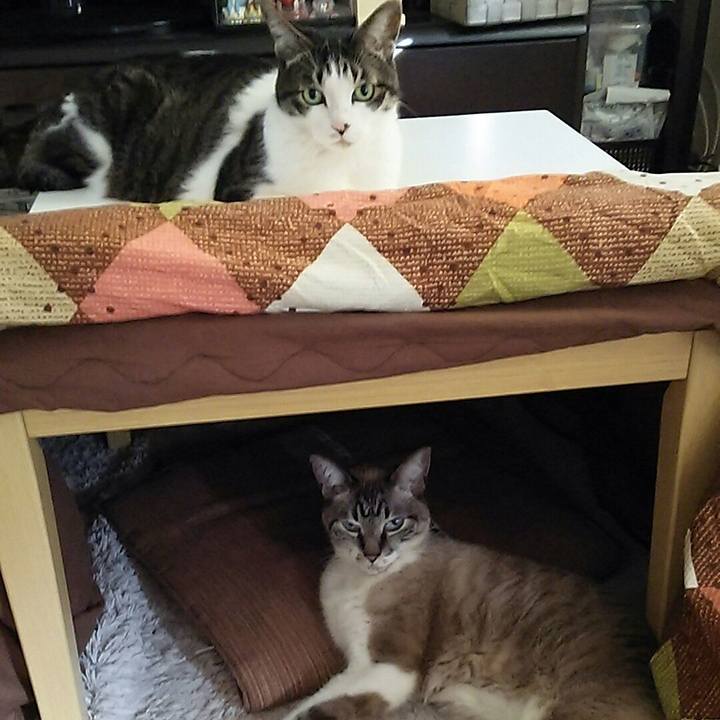 Ef933b30 93b6 40d5 ac5d a54771a63d82