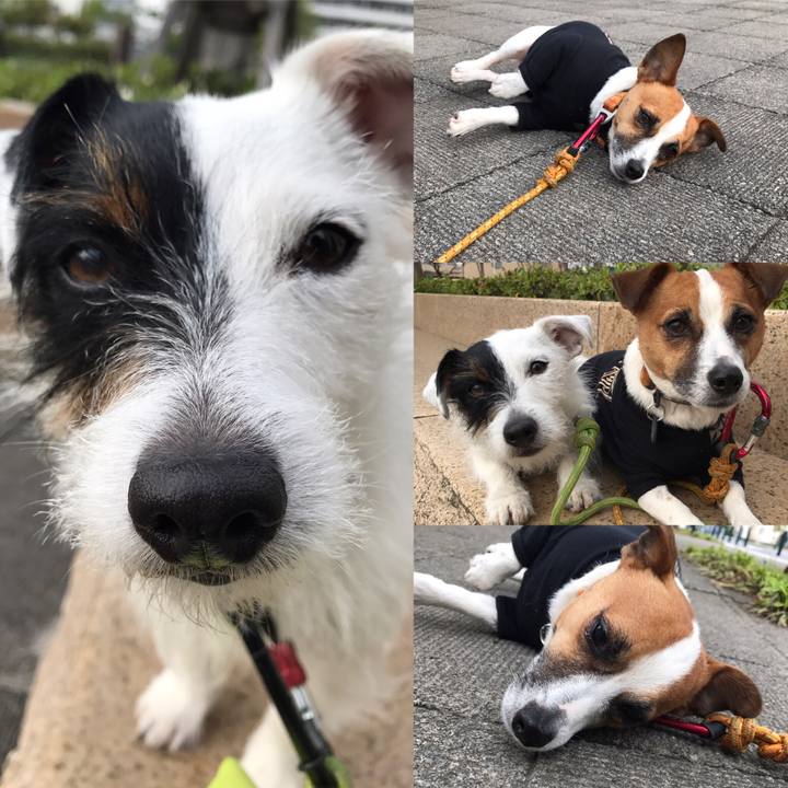 Ef939240 5eab 4307 8e75 581f54fb52ad