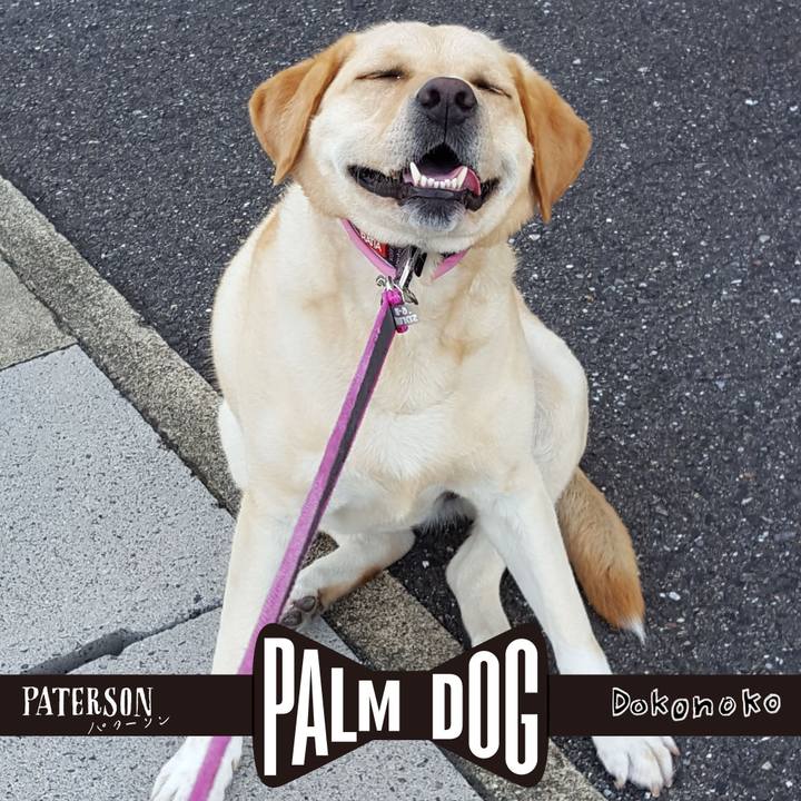 Ef9396dd 487e 4854 8411 94da57459561