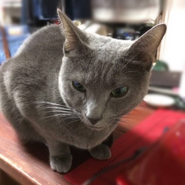 Ef943012 2098 48bb b779 29a396e17805