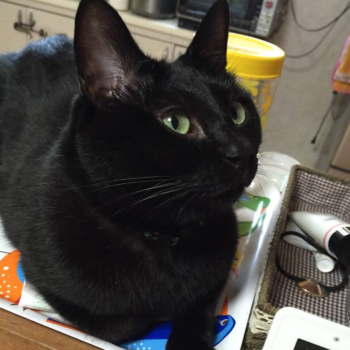 Ef94974f 65d6 41c1 9153 45422d180e4a