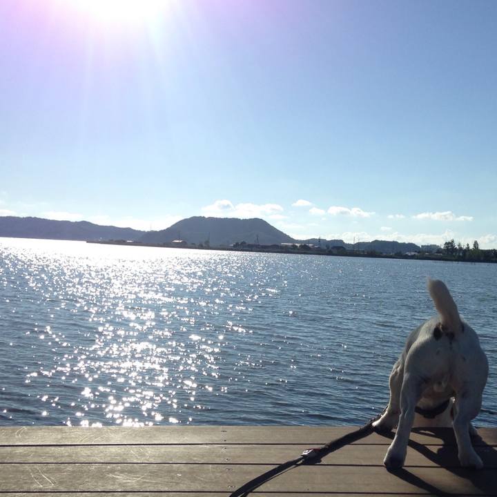 Ef94dc9f 5151 4800 93f7 a21958bab195