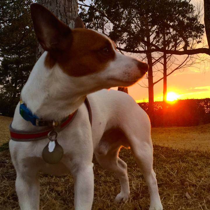 Ef967ecb cadb 4649 8941 6e310be11157