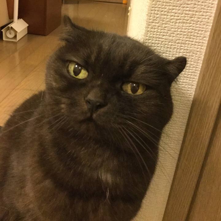 Ef989080 81ae 478a bb9a b4515186d1d7