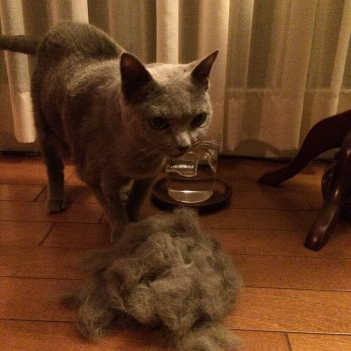 Ef98cd8d 2778 40de 856c 62a482d41ade