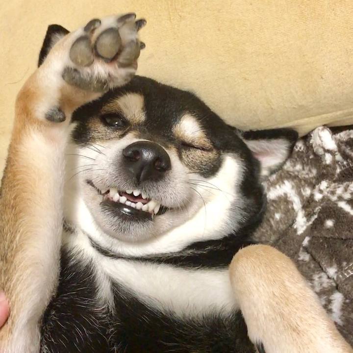 Ef98ef2a 0fc9 4965 8d56 9e2d2a1aae54