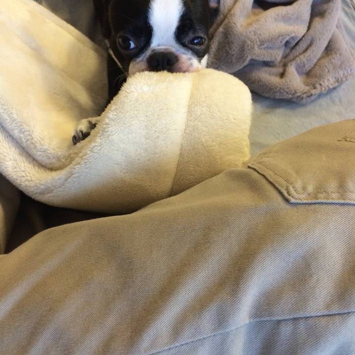 Ef99b5a8 1550 4ad7 9a91 a2371f487ae1