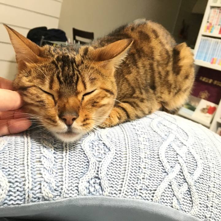 Ef99d12a 74da 4506 9aec 9e9a1853de1a