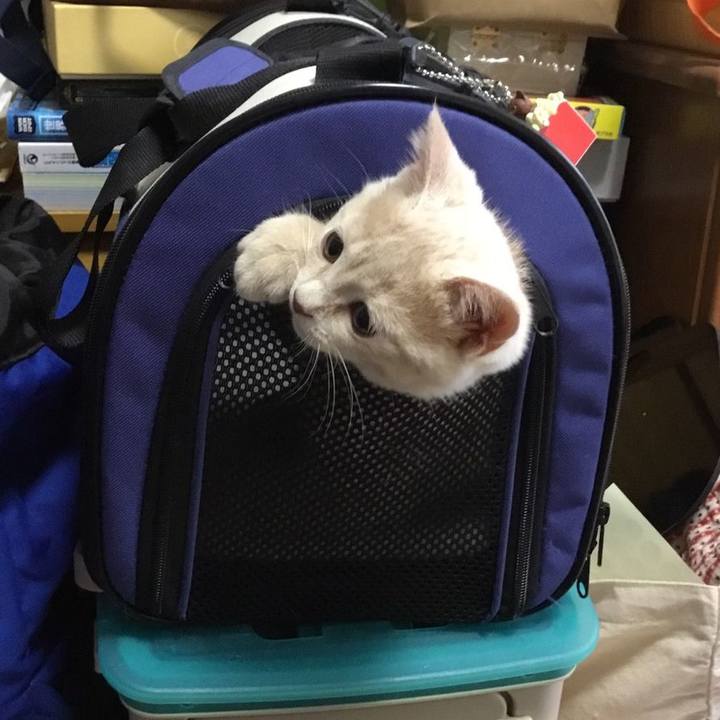 Ef99d502 209e 4060 83f0 748d8c5a8129