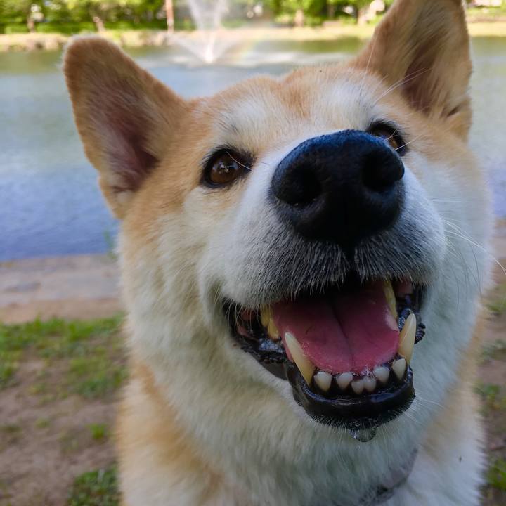 Ef9b16aa 08f4 4102 88b3 97530a926f22