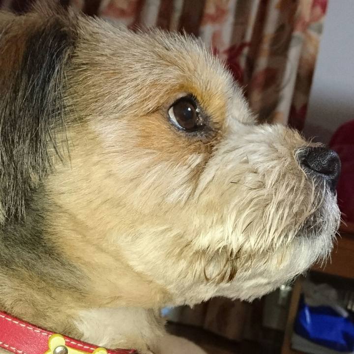 Ef9b2a4c 55a7 481f a7d8 cb6d511c410e