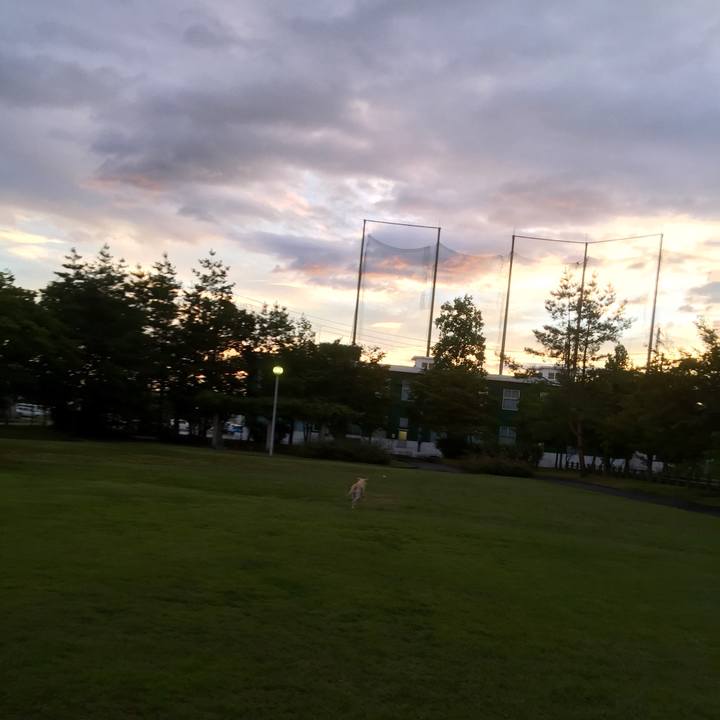 Ef9bbe6a 1cc6 489a 847f 2db72b2e575a