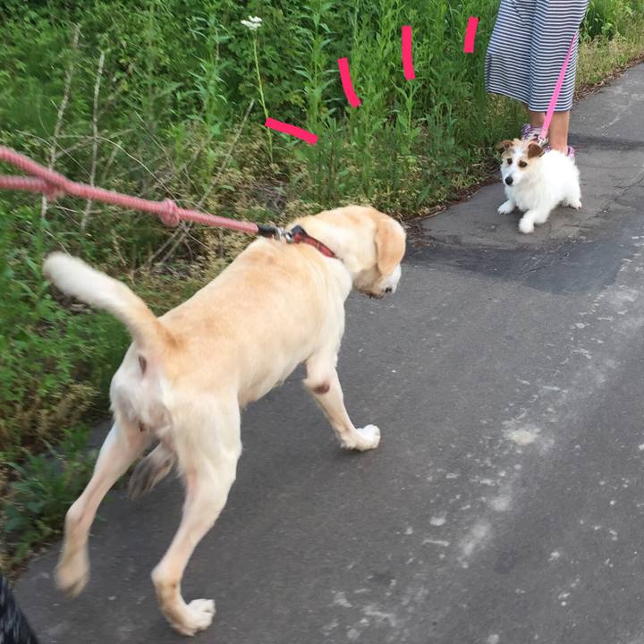 Ef9be8db fa33 41f7 8639 b698820626d1