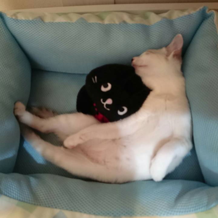 Ef9c0873 0140 482a 80d5 20d2ce514c20