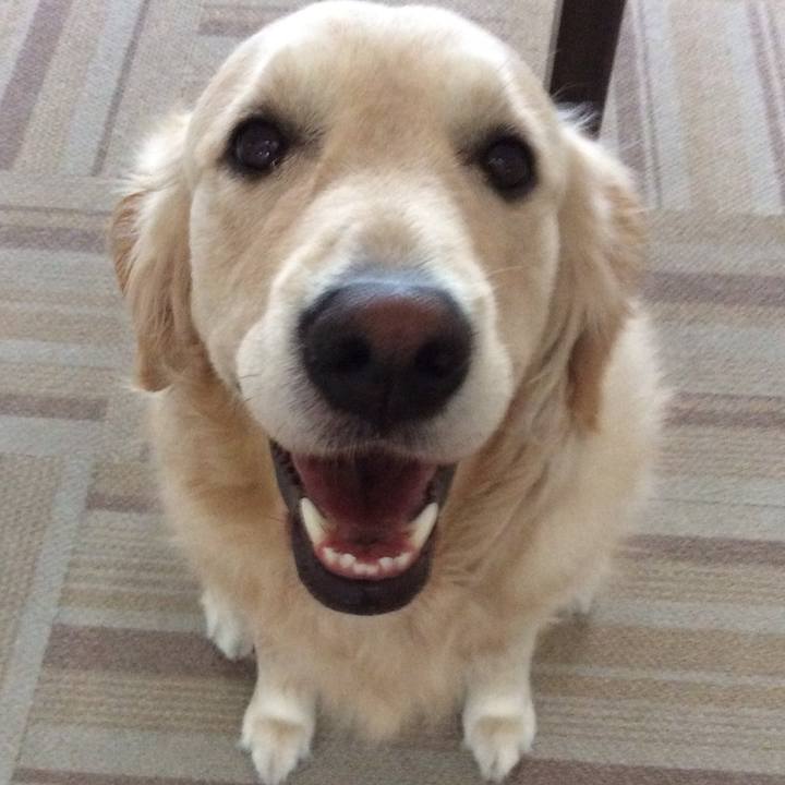 Ef9c5e5c 7334 4012 800f ec9ea12201d4