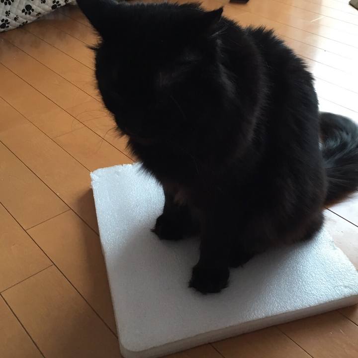 Ef9c6df7 ced0 41b3 8aa5 b9e69587da14