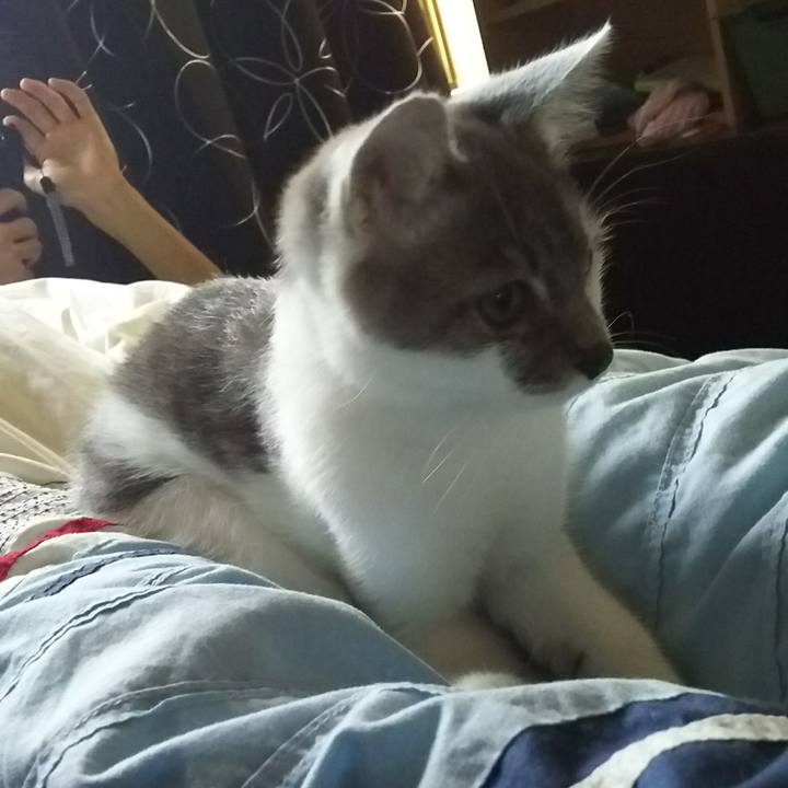 Ef9cbf31 0662 4733 a7fb 776abccb46d2