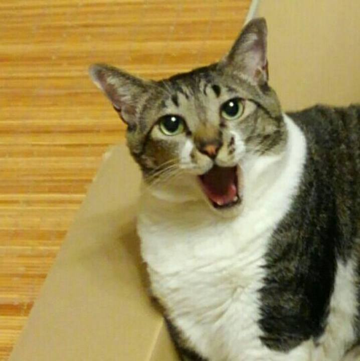 Ef9d067a 30c0 4645 8be9 b785bf1a225a