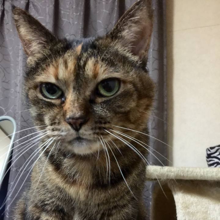 Ef9d1b41 5a35 4877 95c3 4e18dd41c0aa