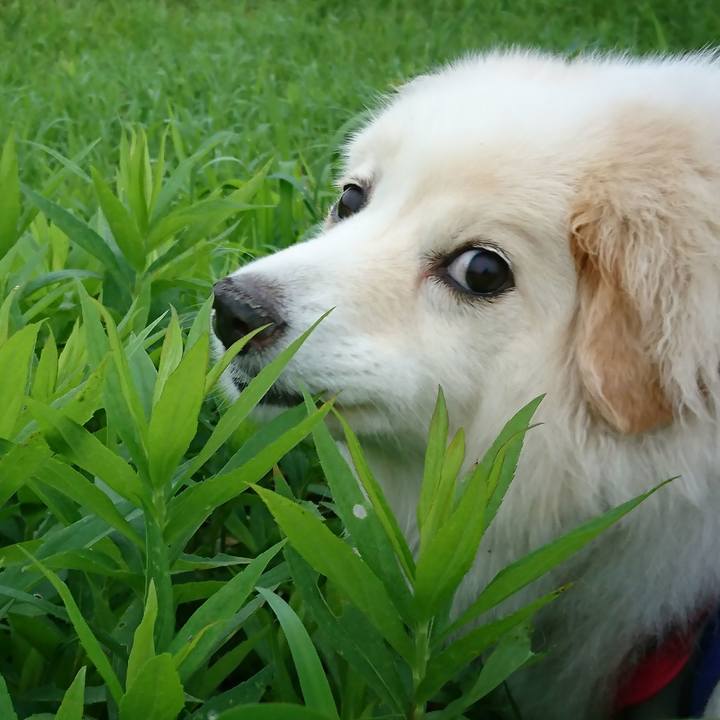 Ef9d3cb7 786e 4d01 8282 a59326318c8d