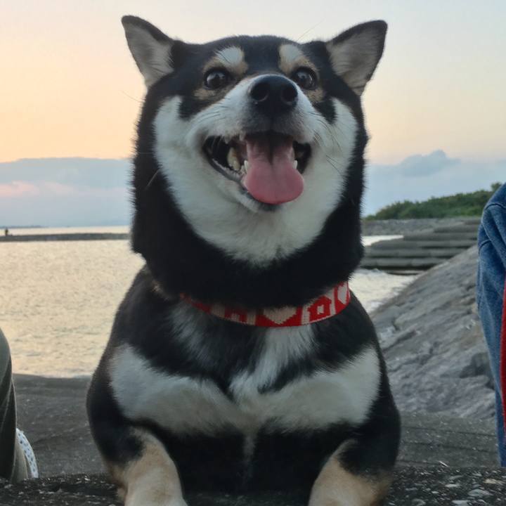 Ef9dfdbe 378a 4b15 a744 7ecf010c02bc