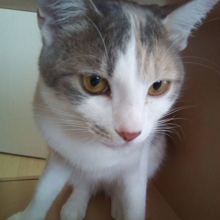 Ef9e08b9 4ae7 43bf bc4e 70661887c29d