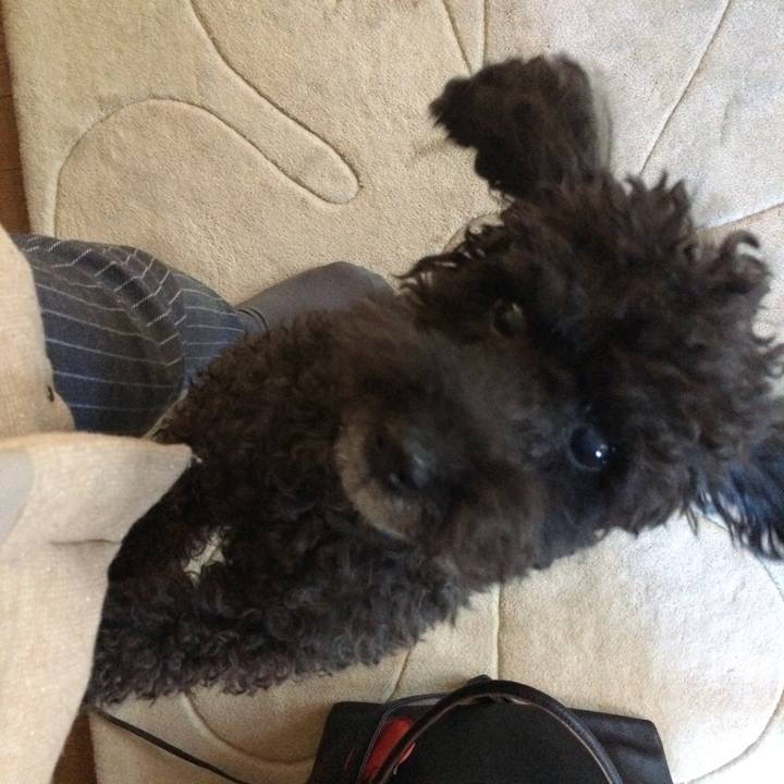 Ef9e0c84 c07e 474d 8fa8 4a19f7727f64