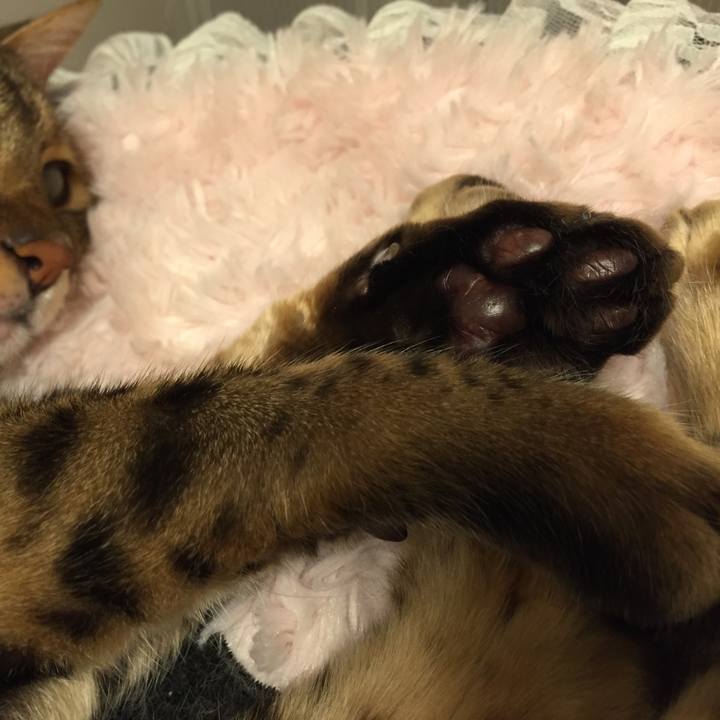 Ef9f4b56 2ace 4843 850f 810e9628e399