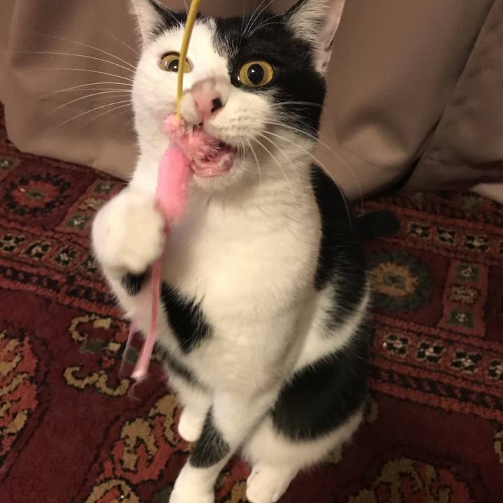 Ef9f541a 8983 468d 8ca9 6161175f0b57