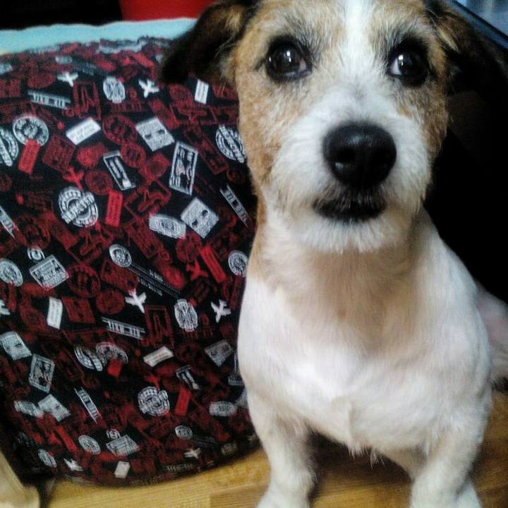 Ef9fdf98 ad53 452e a284 bb12aab6efa3