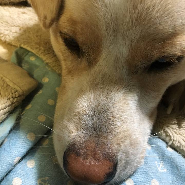 Efa018e9 08fe 4f0d 8df4 a074ca08dbf9