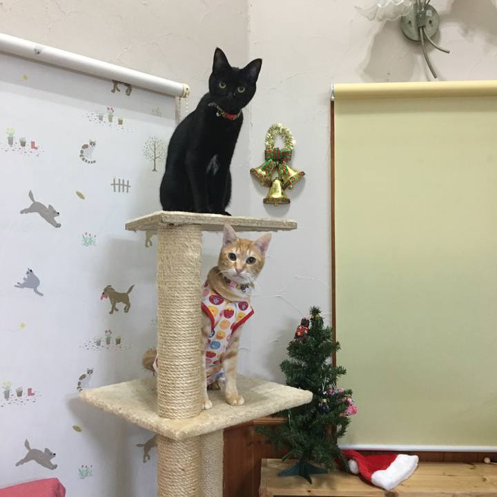 Efa019ed f2a7 4f92 80b9 00c5e24776ae