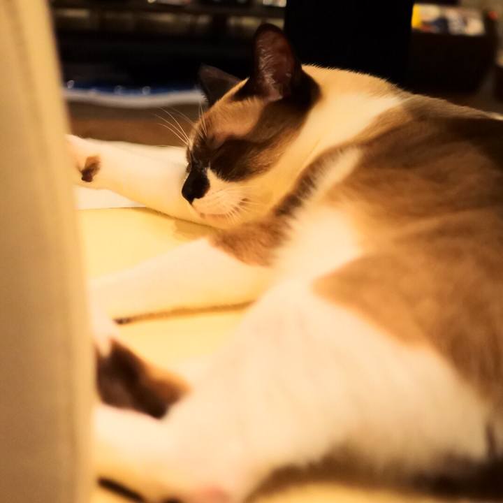 Efa03d91 9805 4123 b024 81fc4c9fcdd1